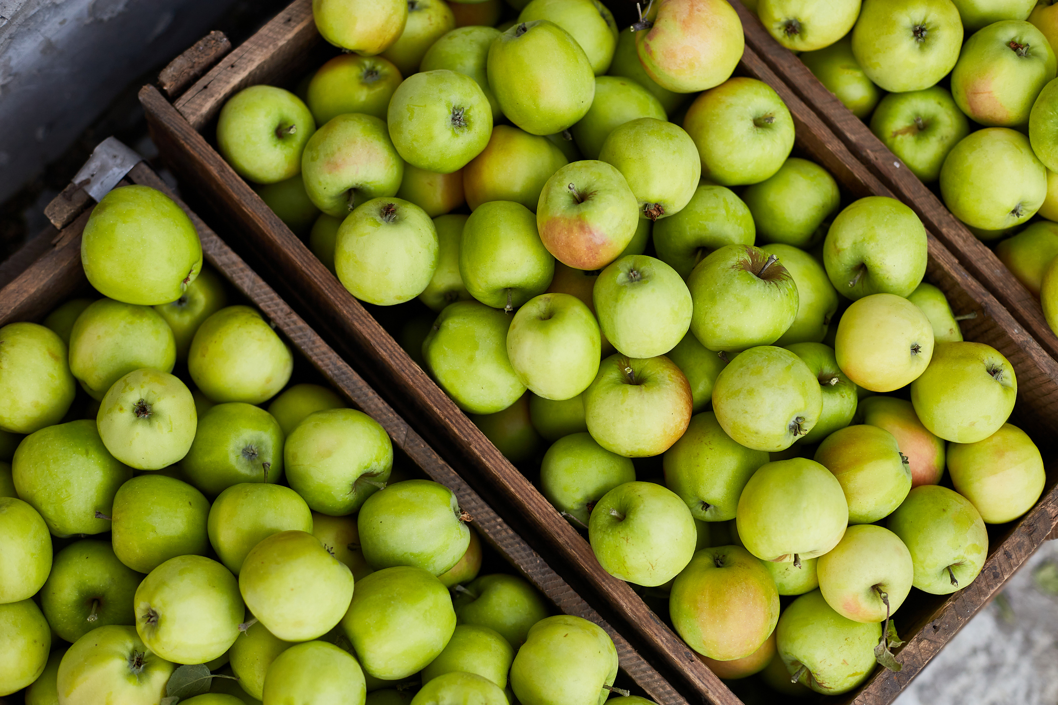 Wholesale produce boxes